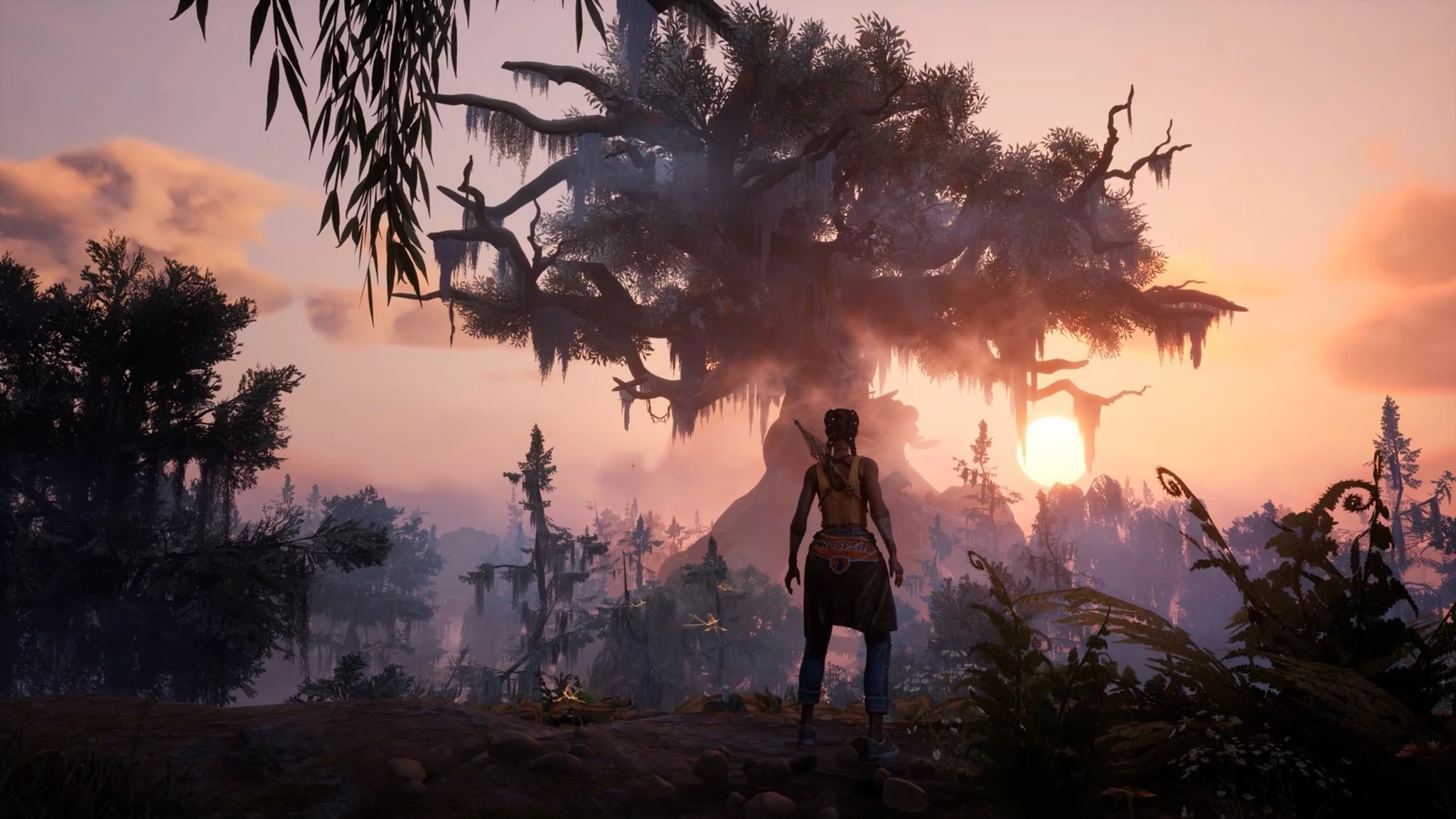 South of Midnight Weaver's Edition (Source: Nintendo)