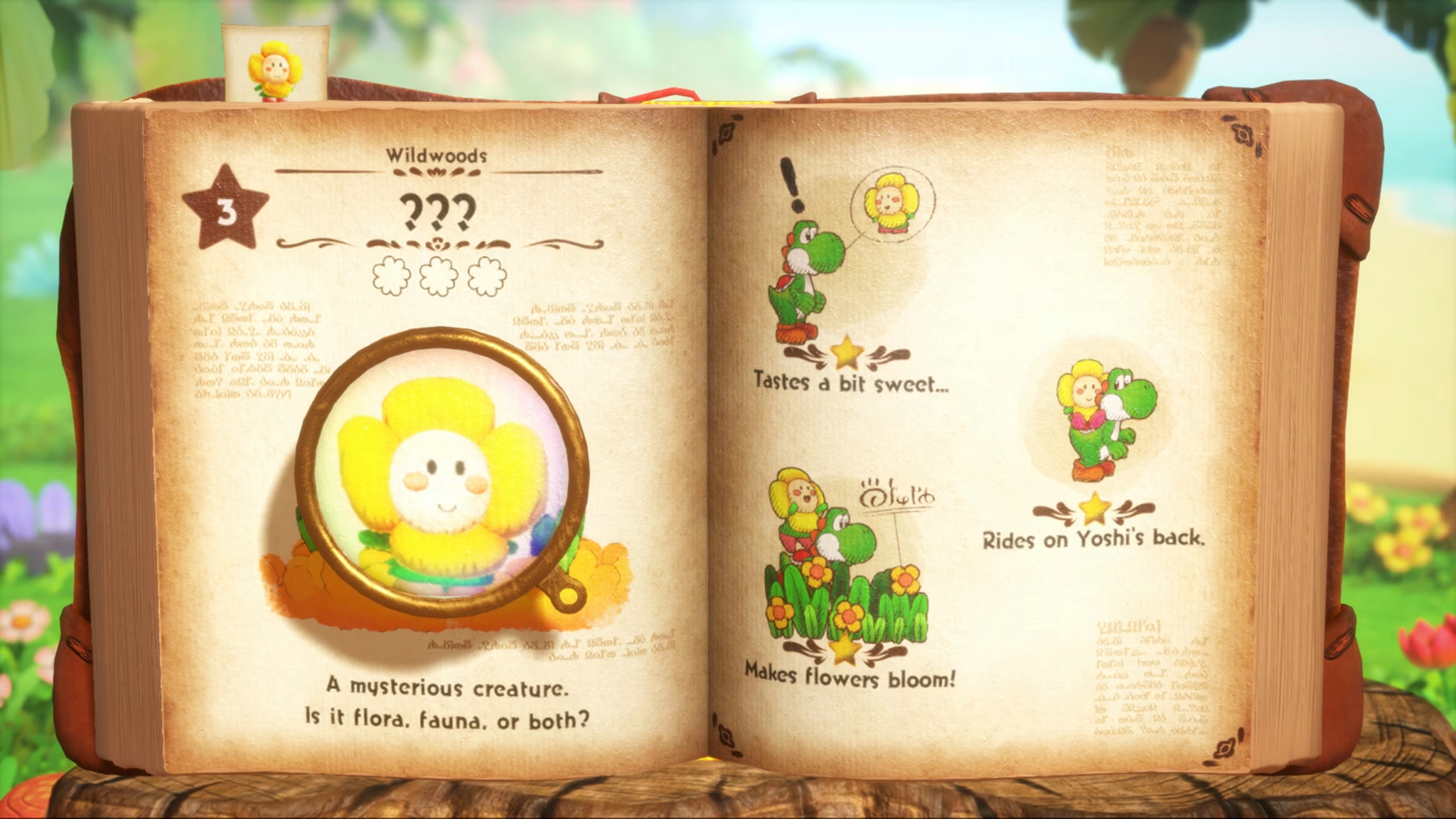 Yoshi™ and the Mysterious Book (Image source: Nintendo)