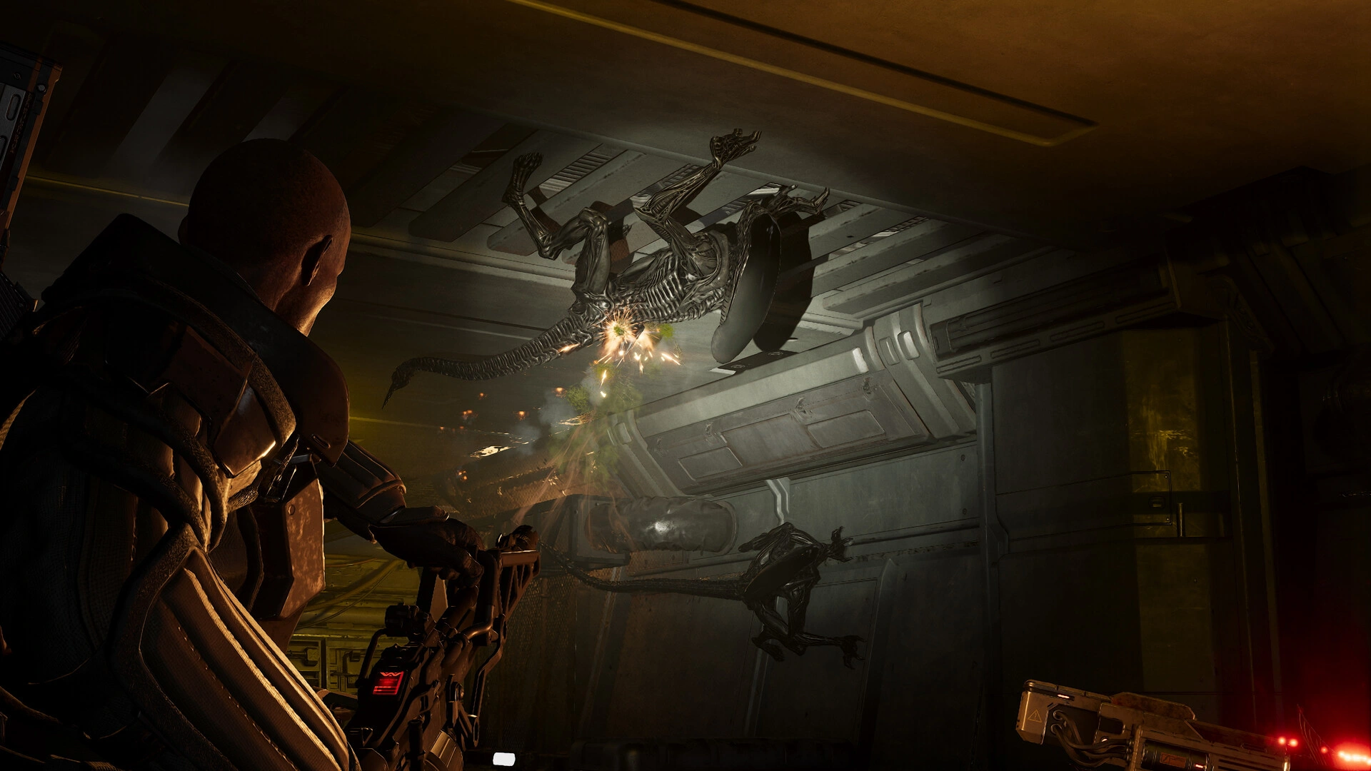 Aliens: Fireteam Elite 2 (Image source: Steam)